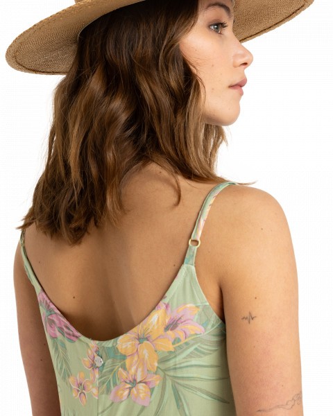 .//  /  Rainbow Shores