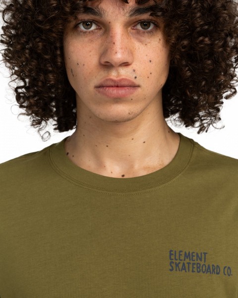 .//,   /  Day & Night SS