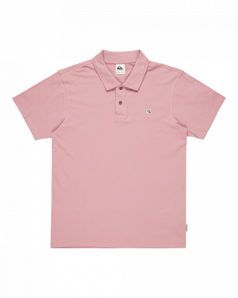 DNA POLO