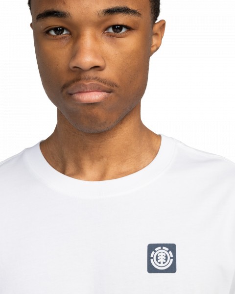 .//,   /  Joint Texture SS