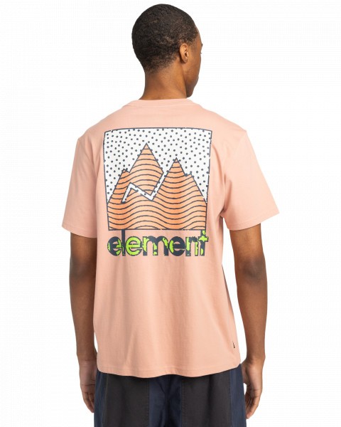 .//,   /  Joint Texture SS