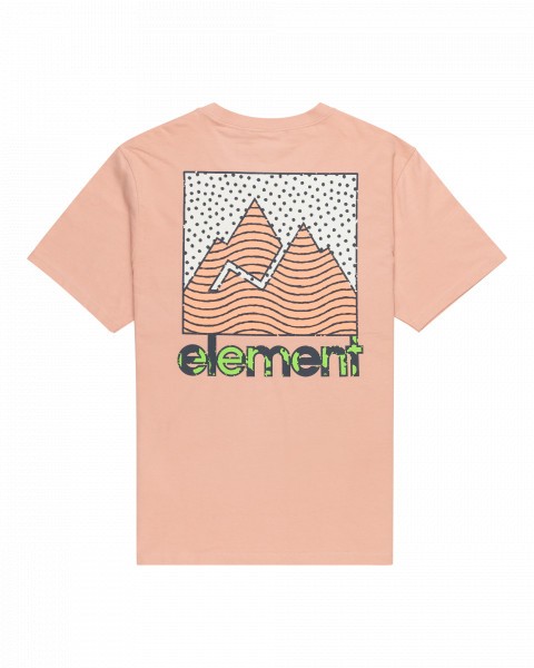 .//,   /  Joint Texture SS