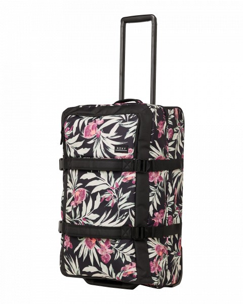 .//  /  Travel Dreaming