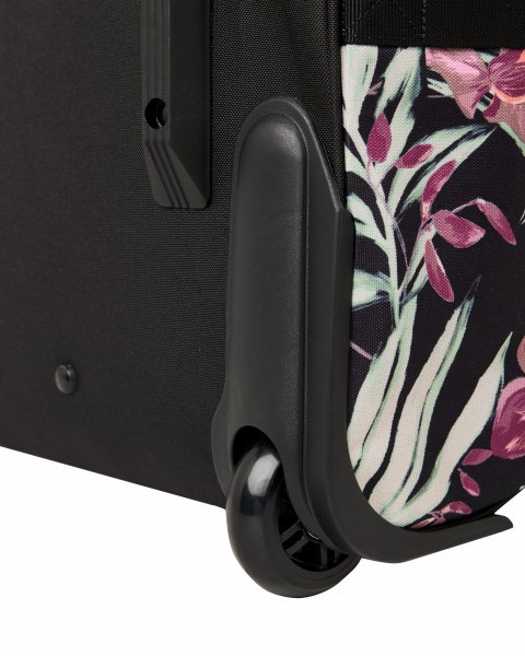 .//  /  Travel Dreaming