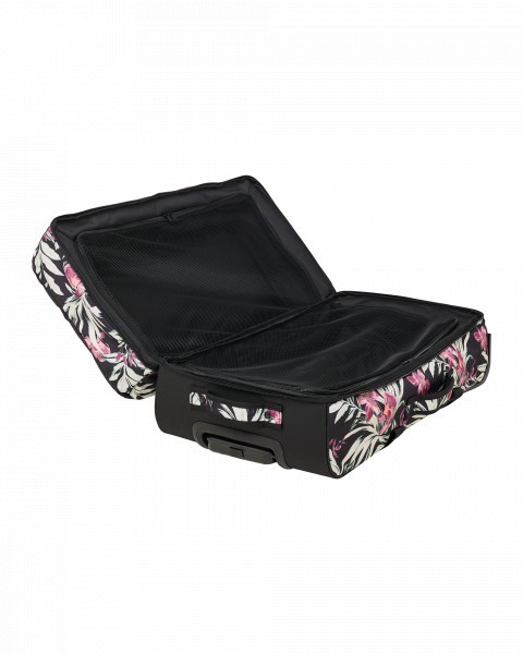 .//  /  Travel Dreaming