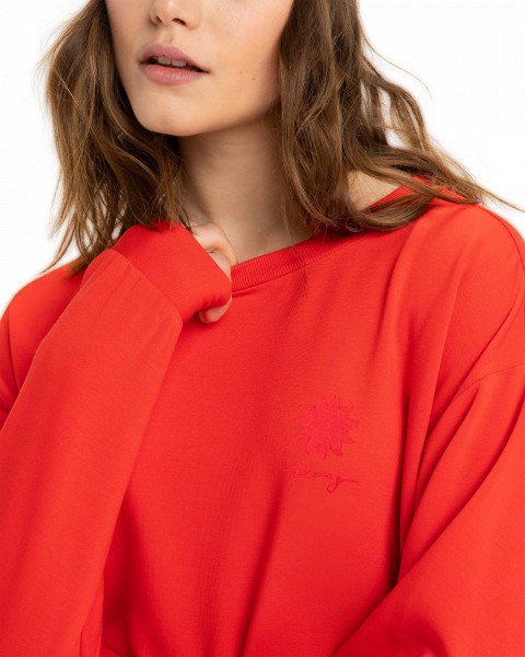 .//  /  Surfing By Moonlight