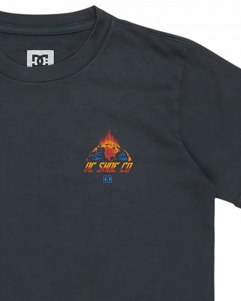 .///   FREE FALL SS BOY