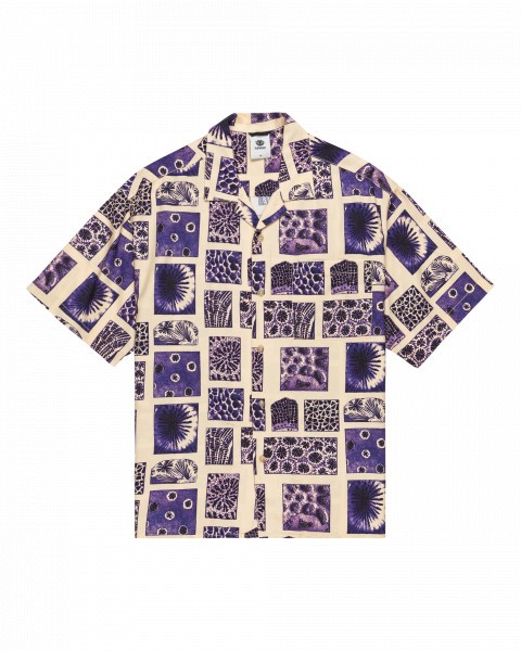 �������� resort ss