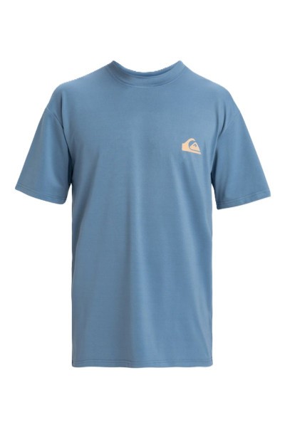 �������� QUIKSILVER EVERYDAY Surf Tee SS