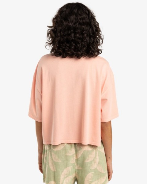 �������� � ���������